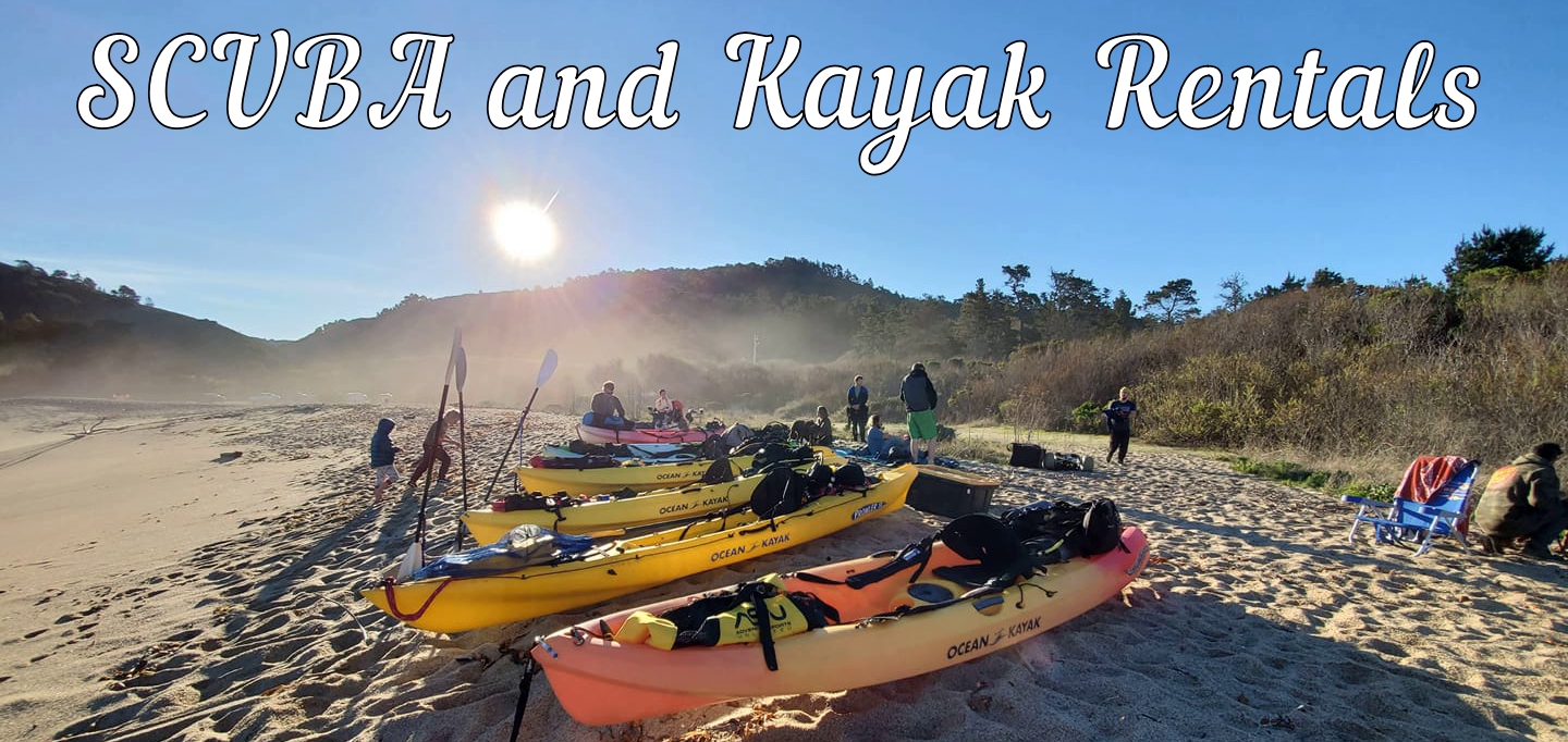 Scuba and Kayak Rentals